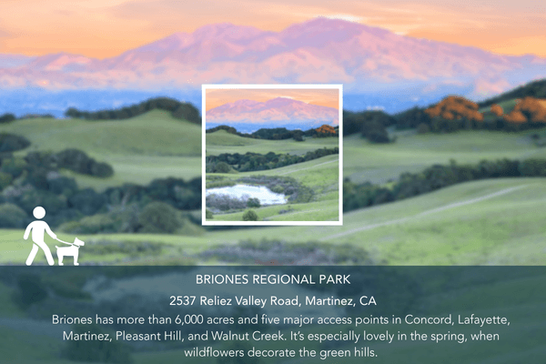 Abio Properties East Bay Area Real Estate Best Dog-Friendly Hikes