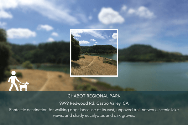 Abio Properties East Bay Area Real Estate Best Dog-Friendly Hikes