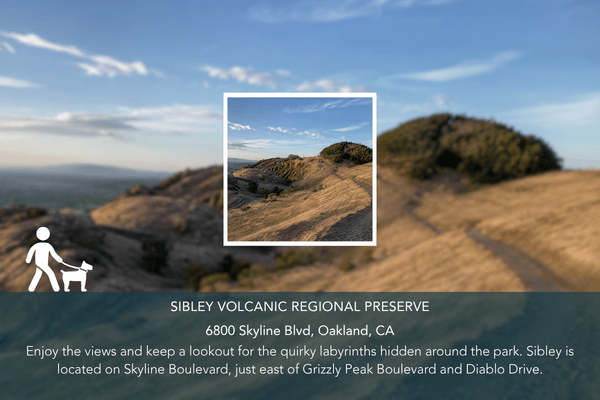 Abio Properties East Bay Area Real Estate Best Dog-Friendly Hikes