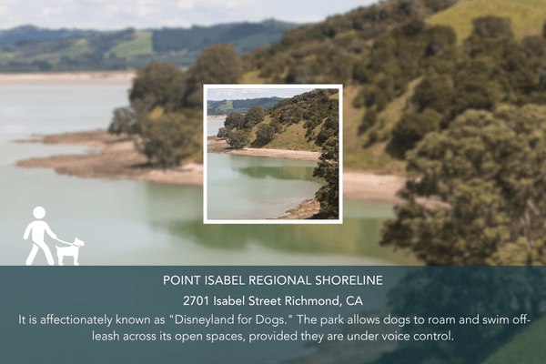 Abio Properties East Bay Area Real Estate Best Dog-Friendly Hikes
