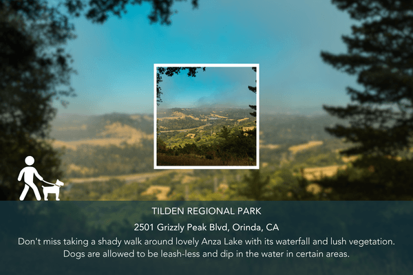 Abio Properties East Bay Area Real Estate Best Dog-Friendly Hikes