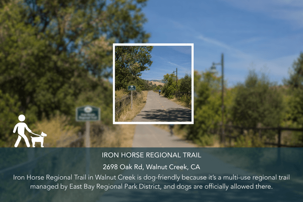 Abio Properties East Bay Area Real Estate Best Dog-Friendly Hikes