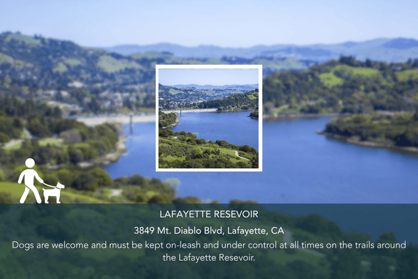 Abio Properties East Bay Area Real Estate Best Dog-Friendly Hikes