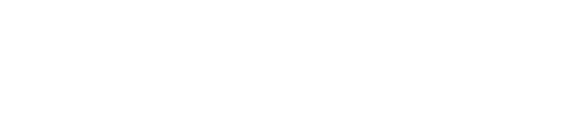 Vangaurd Properties logo